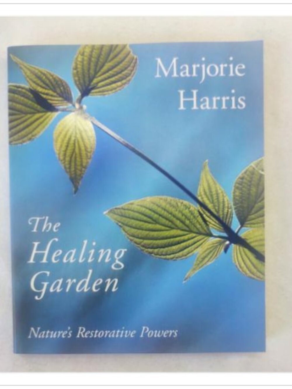 The Healing Garden Natures Restorative Powers Contemporary 1st 1997 PB